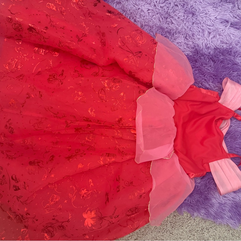 Disney princess Aurora dress